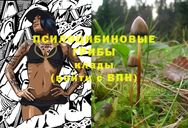 гидра Саяногорск