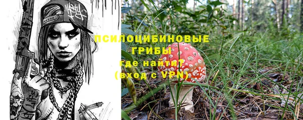 эйфоретик Абаза